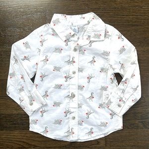 Toddler Button Down